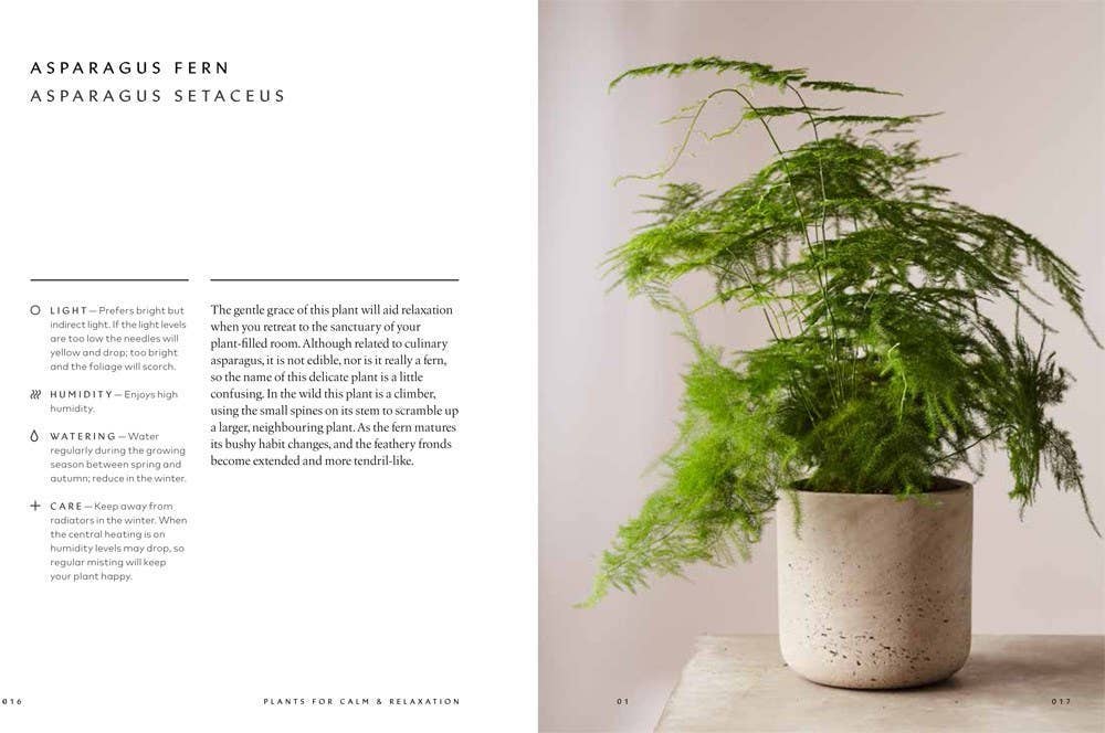 The Healing Power of Plants By Fran Bailey