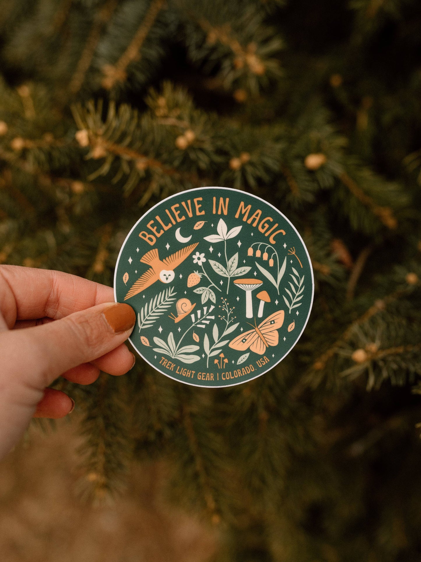 Sticker | Believe In Magic