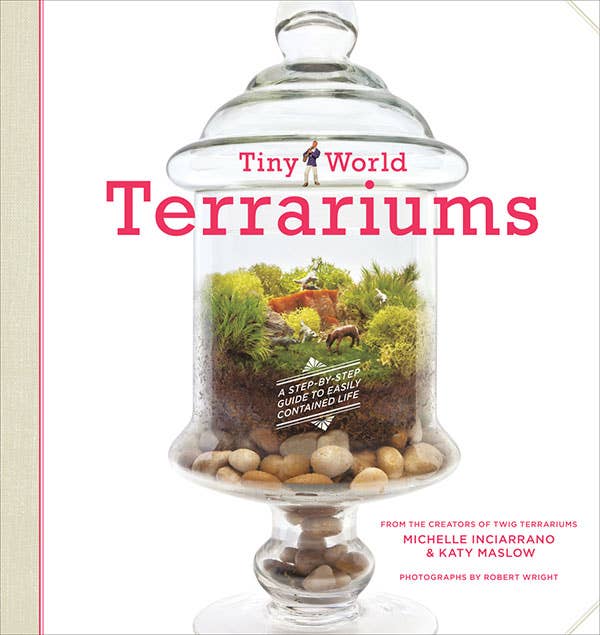 Tiny World Terrariums: A Step-by-Step Guide to Easily