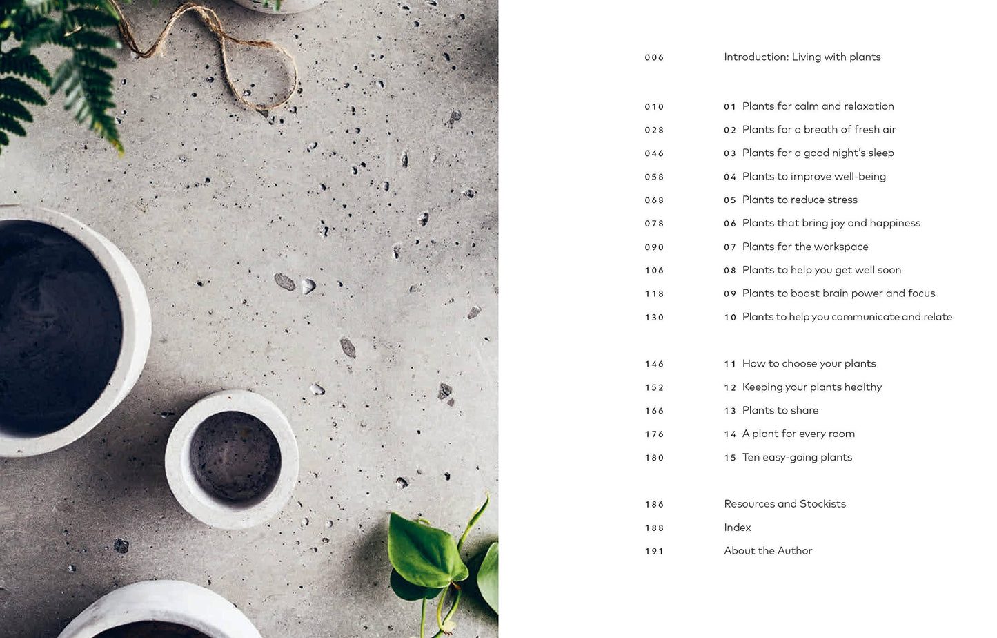 The Healing Power of Plants By Fran Bailey